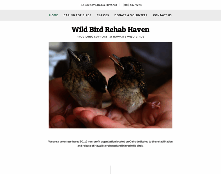 Wildbirdrehabhaven.org thumbnail