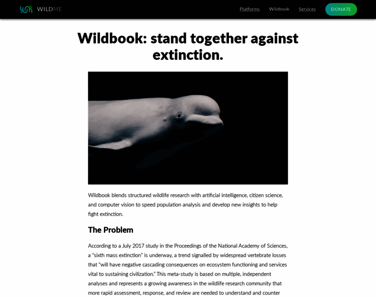 Wildbook.org thumbnail