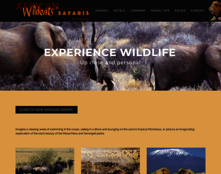 Wildcatssafaris.com thumbnail