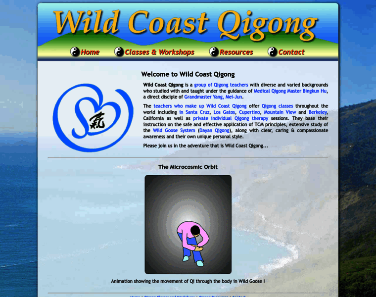 Wildcoastqigong.com thumbnail