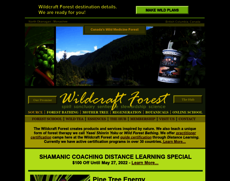 Wildcraftforest.com thumbnail