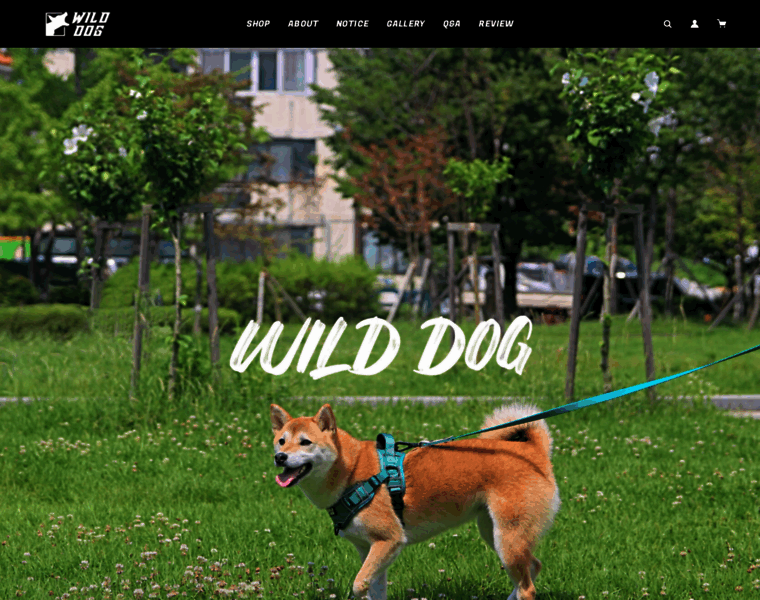 Wilddog.co.kr thumbnail