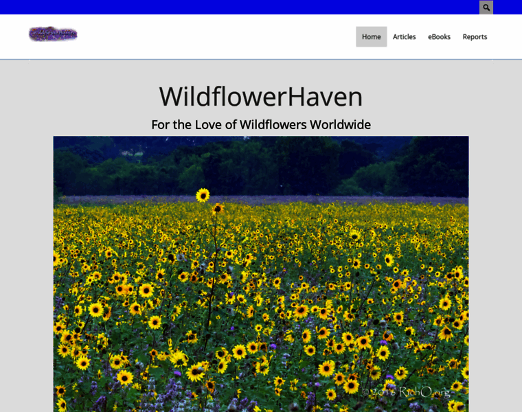 Wildflowerhaven.com thumbnail