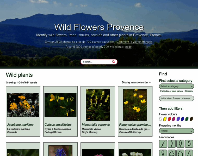 Wildflowersprovence.fr thumbnail