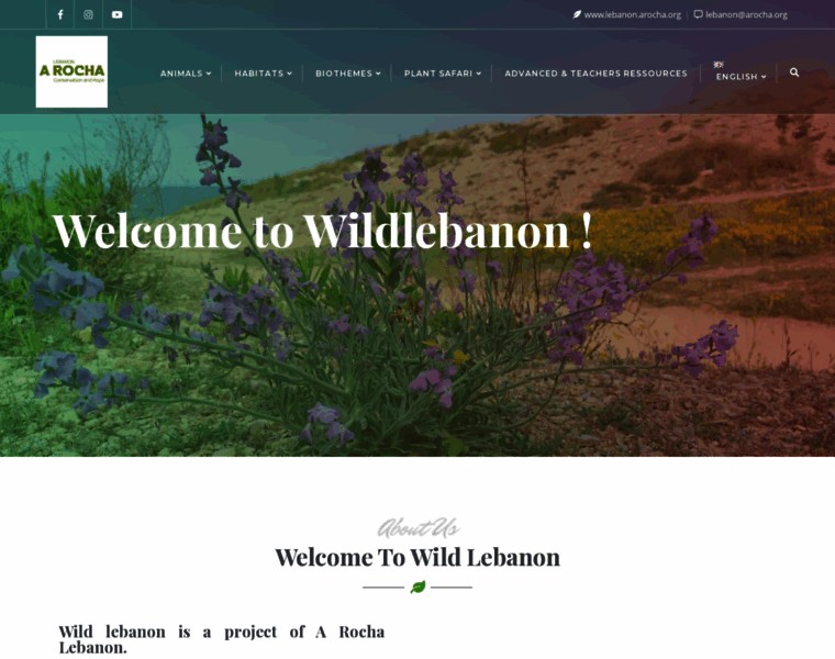 Wildlebanon.org thumbnail