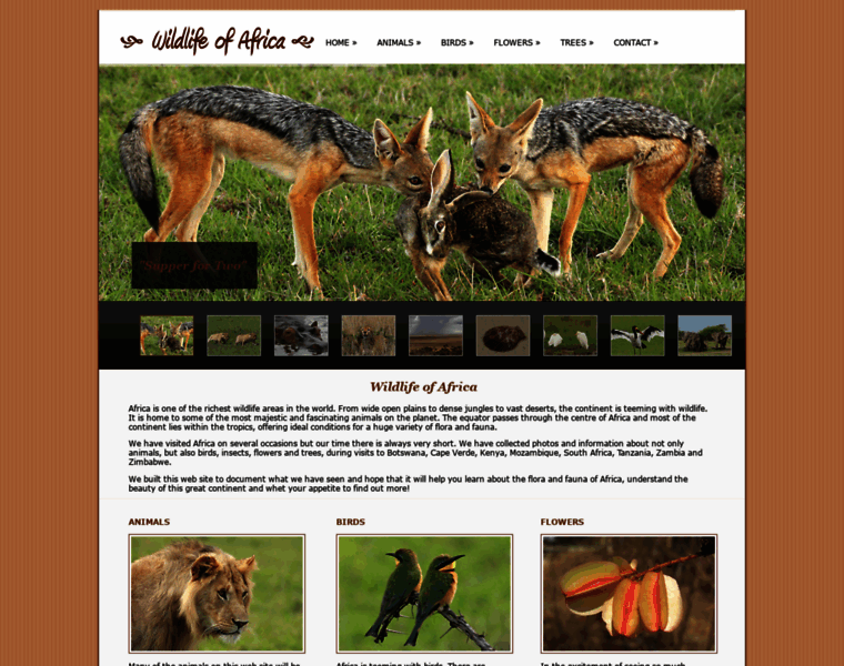 Wildlife-of-africa.com thumbnail
