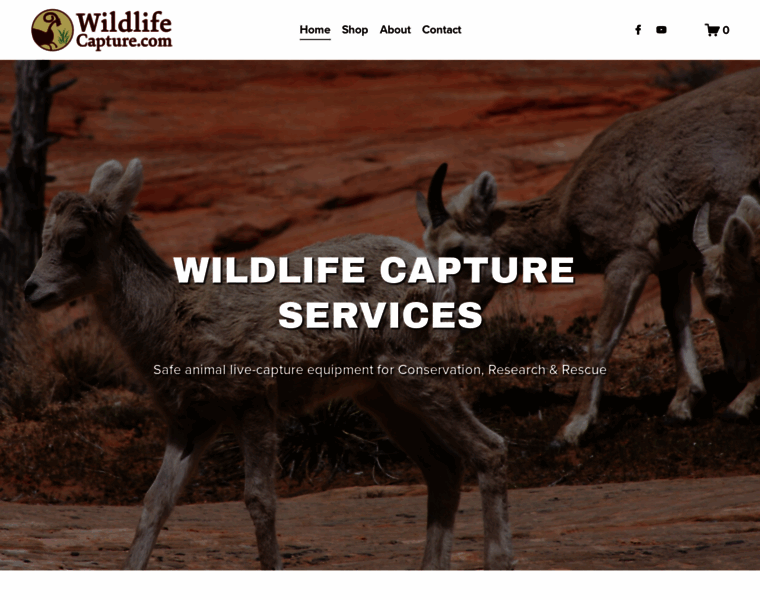 Wildlifecapture.com thumbnail