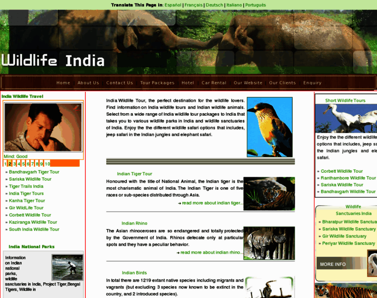 Wildlifeindia.in thumbnail