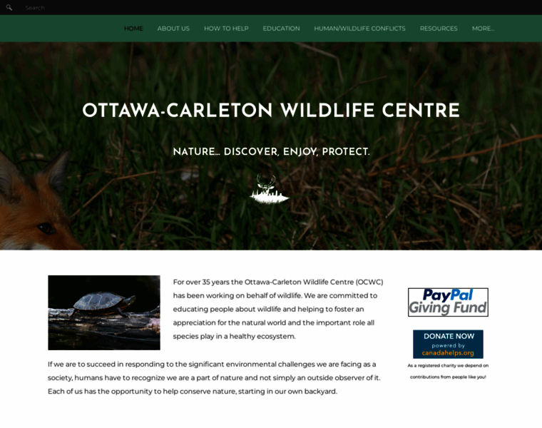Wildlifeinfo.ca thumbnail