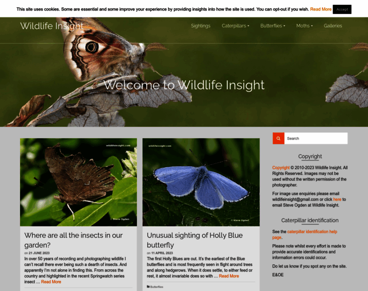 Wildlifeinsight.com thumbnail