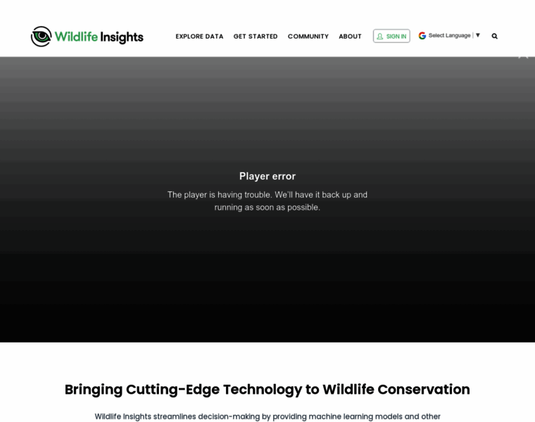 Wildlifeinsights.org thumbnail