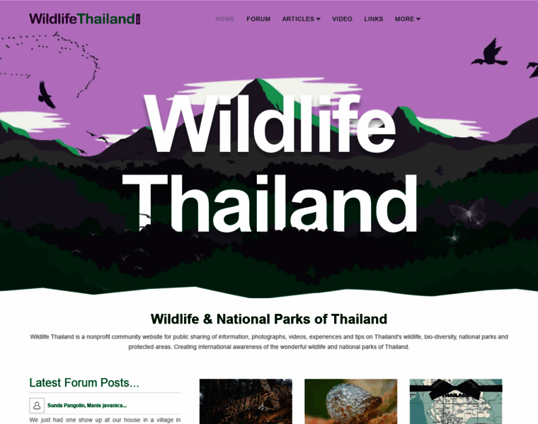 Wildlifethailand.com thumbnail