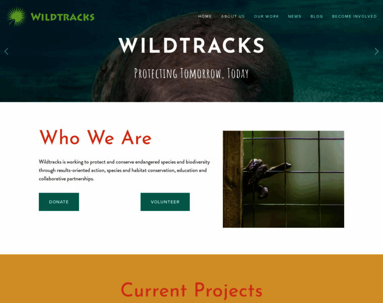 Wildtracksusa.org thumbnail