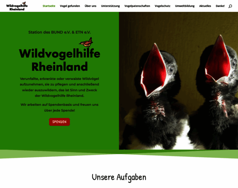 Wildvogelhilfe-rsk.de thumbnail