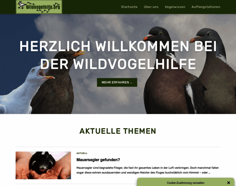 Wildvogelhilfe.org thumbnail