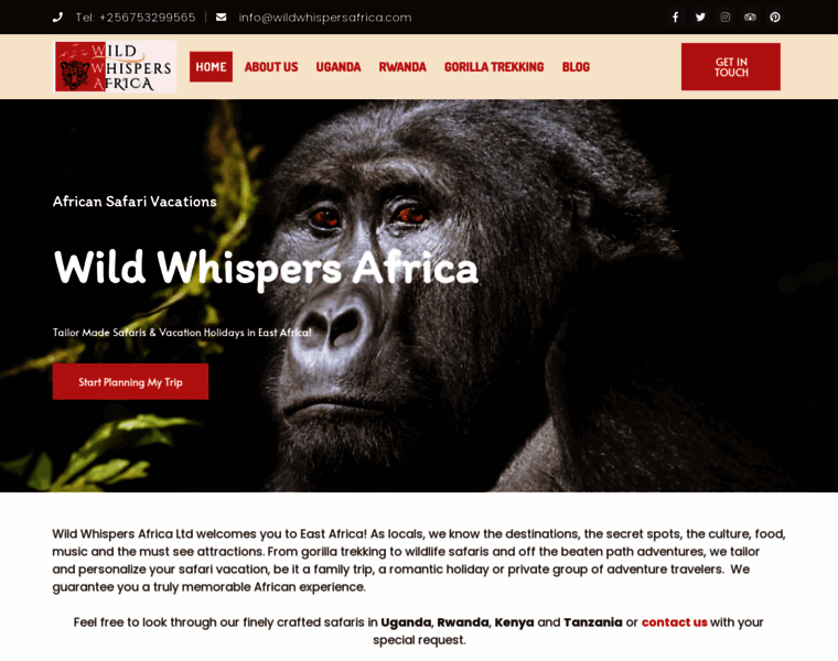 Wildwhispersafrica.com thumbnail