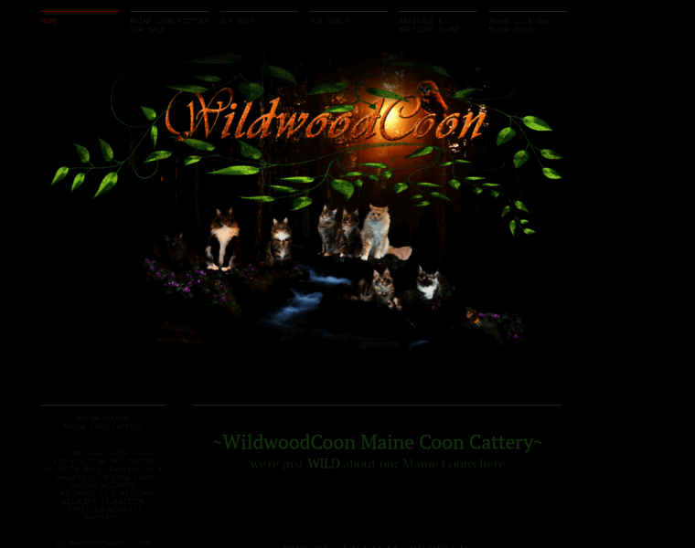 Wildwoodcoon.com thumbnail