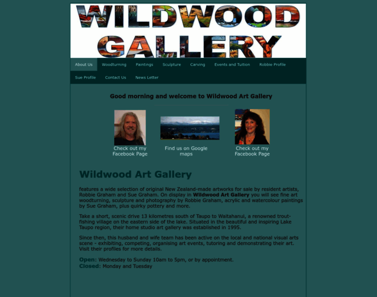 Wildwoodgallery.co.nz thumbnail