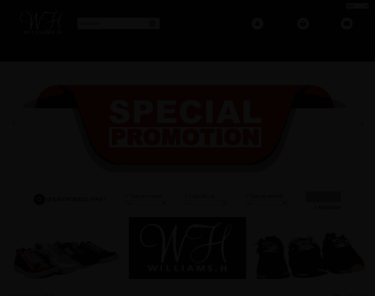 Williamsh.fr thumbnail