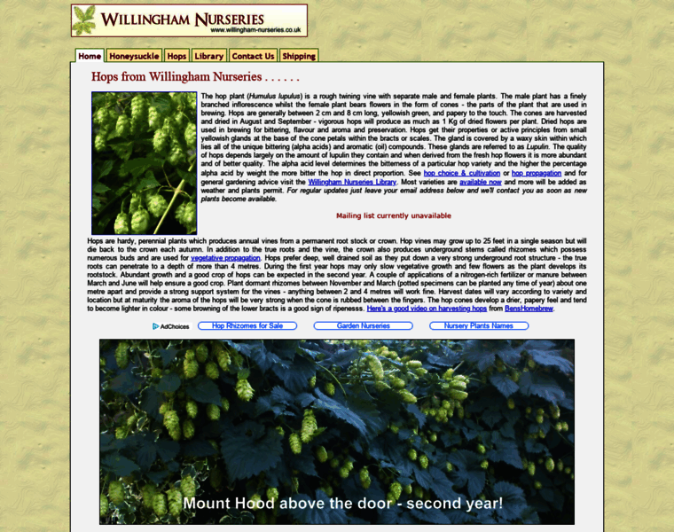 Willingham-nurseries.co.uk thumbnail