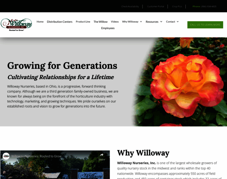 Willowaymarketing.com thumbnail