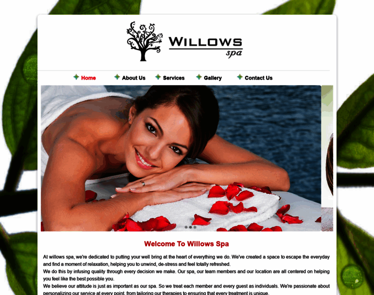 Willowsspa.in thumbnail