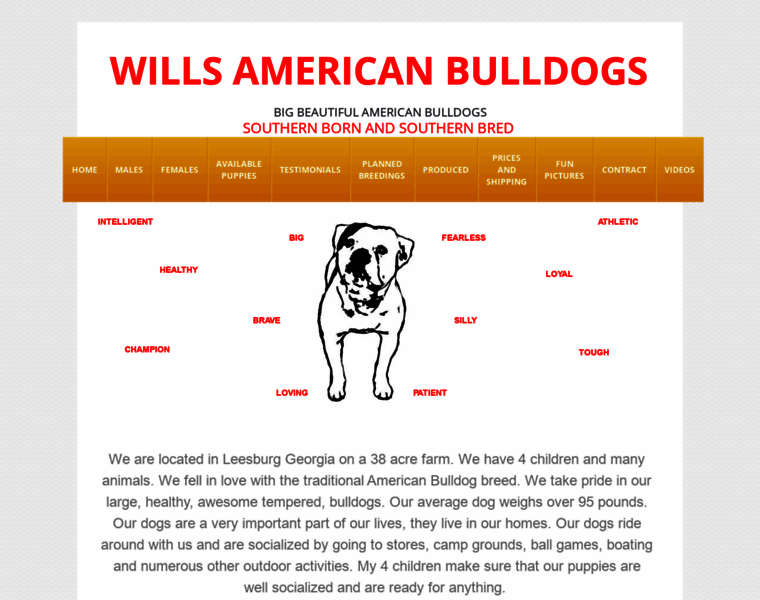 Willsamericanbulldogs.com thumbnail