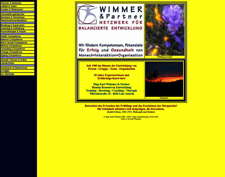 Wimmer-partner.at thumbnail