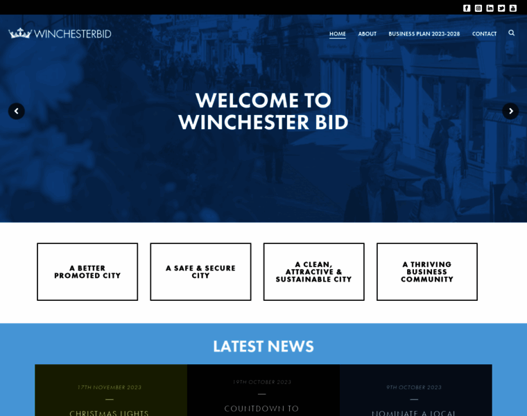 Winchesterbid.co.uk thumbnail