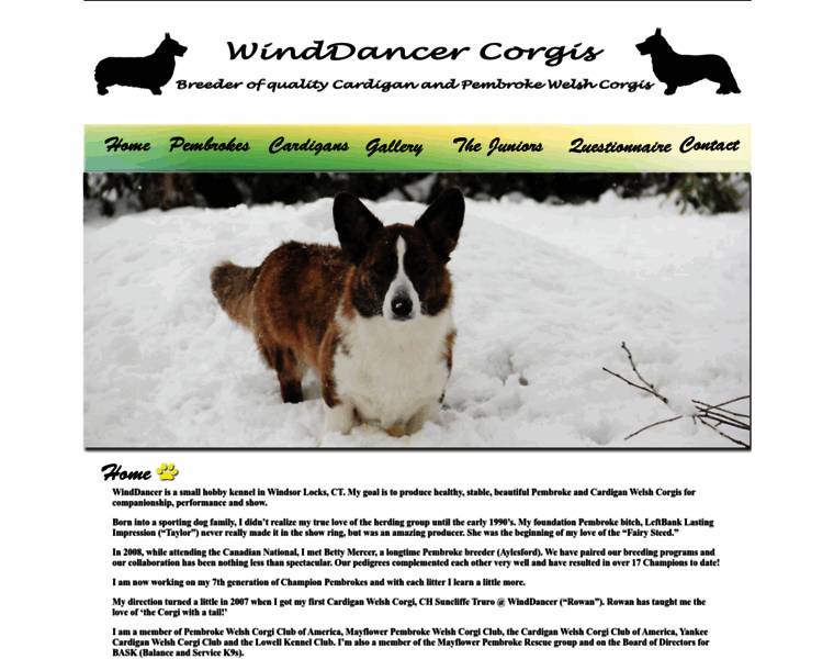 Winddancercorgis.com thumbnail