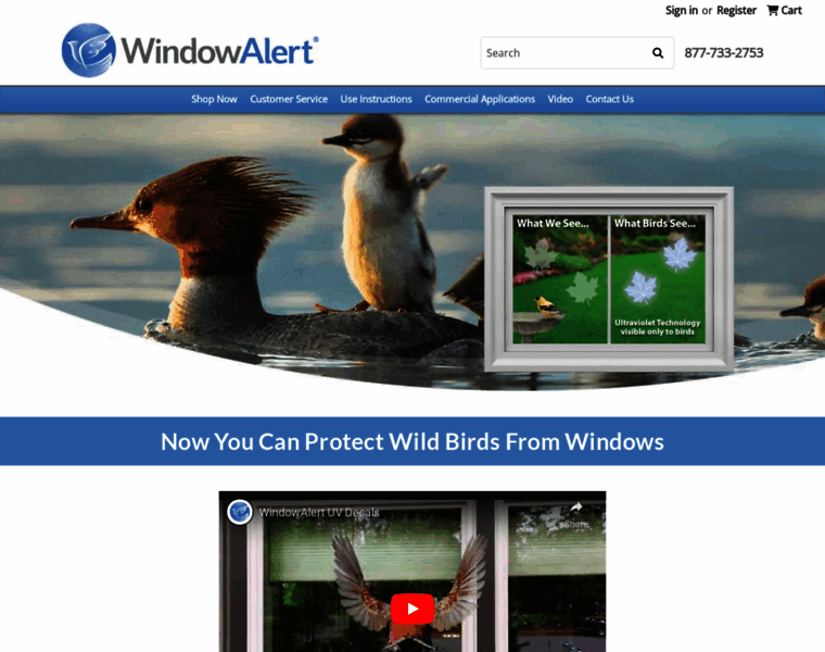 Windowalert.com thumbnail