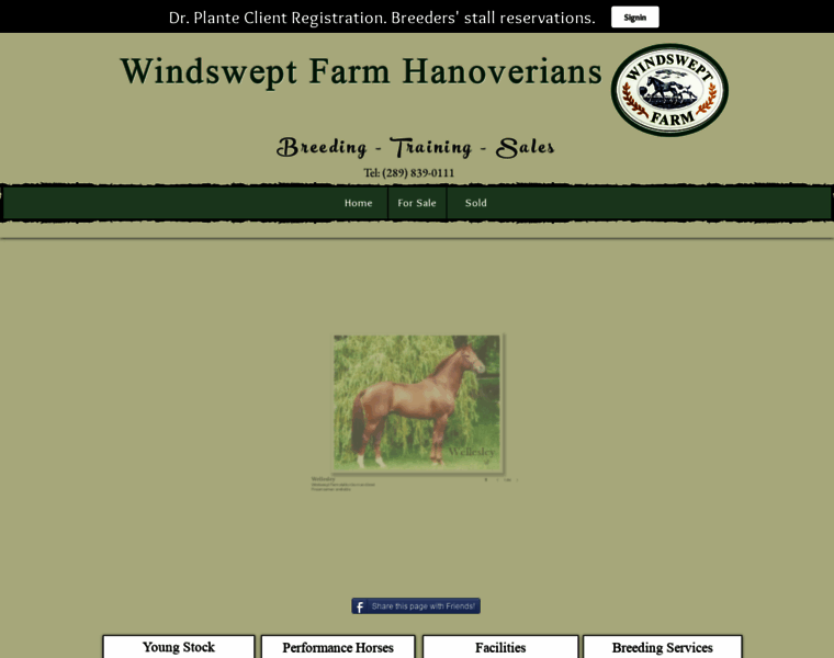 Windswept-farm.com thumbnail