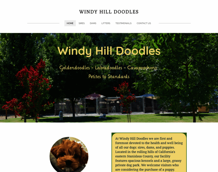 Windyhilldoodles.com thumbnail