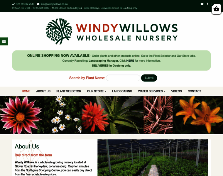 Windywillows.co.za thumbnail