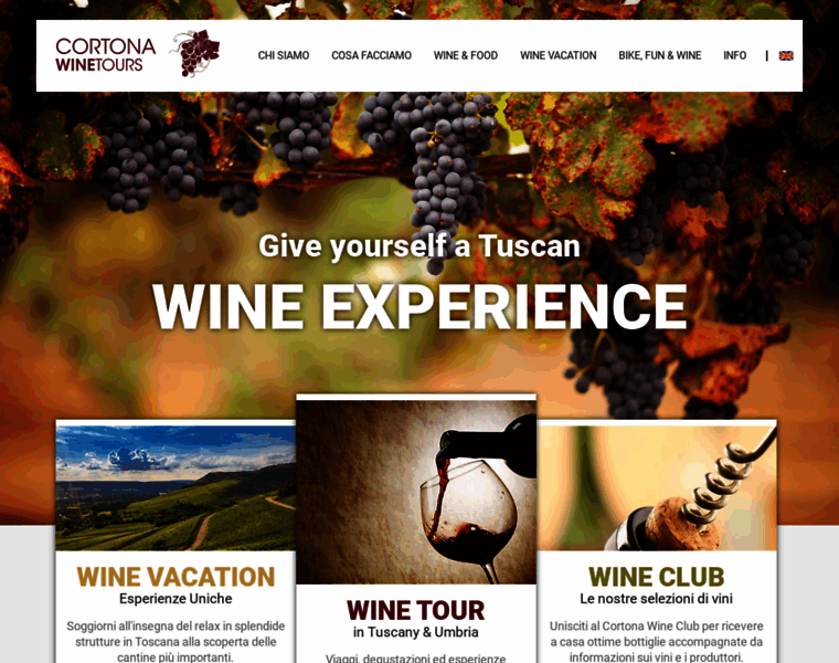 Winetourscortona.com thumbnail