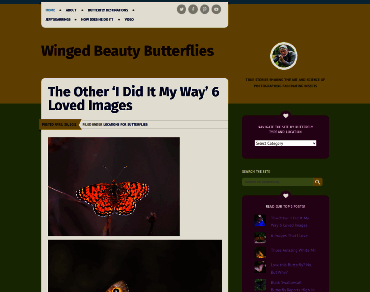 Wingedbeauty.com thumbnail