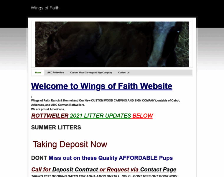 Wingsoffaith.us thumbnail