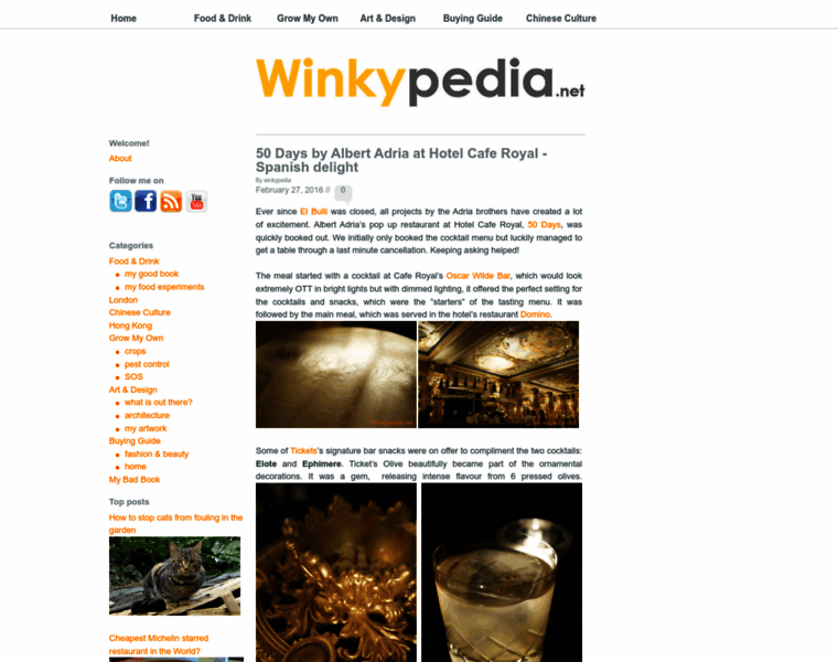 Winkypedia.net thumbnail
