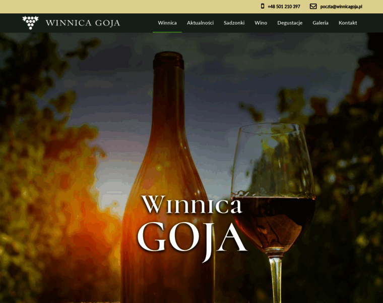 Winnicagoja.pl thumbnail