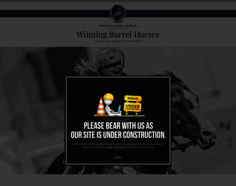 Winningbarrelhorses.com thumbnail