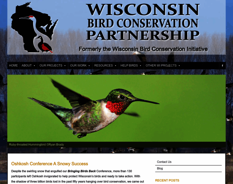 Wisconsinbirds.org thumbnail
