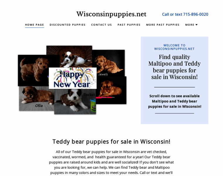 Wisconsinpuppies.net thumbnail