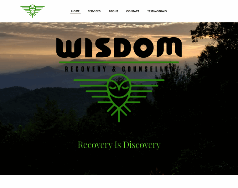 Wisdomrecoverycounseling.com thumbnail