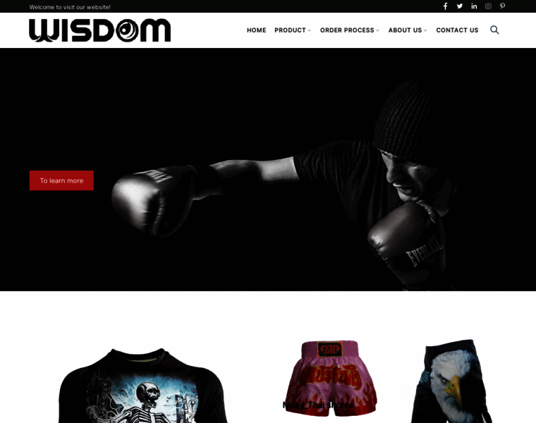 Wisdomsportswear.com thumbnail