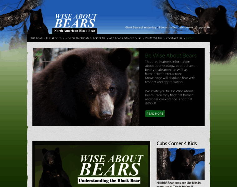Wiseaboutbears.org thumbnail