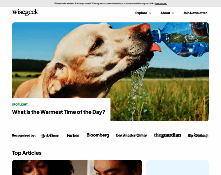 Wisegeekhealth.com thumbnail Wisegeekhealth.com thumbnail