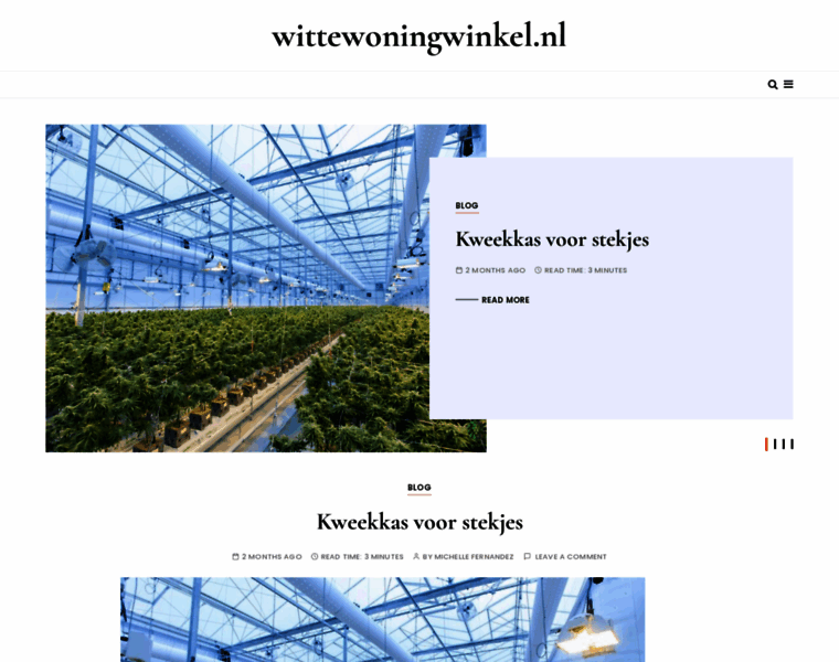 Wittewoningwinkel.nl thumbnail