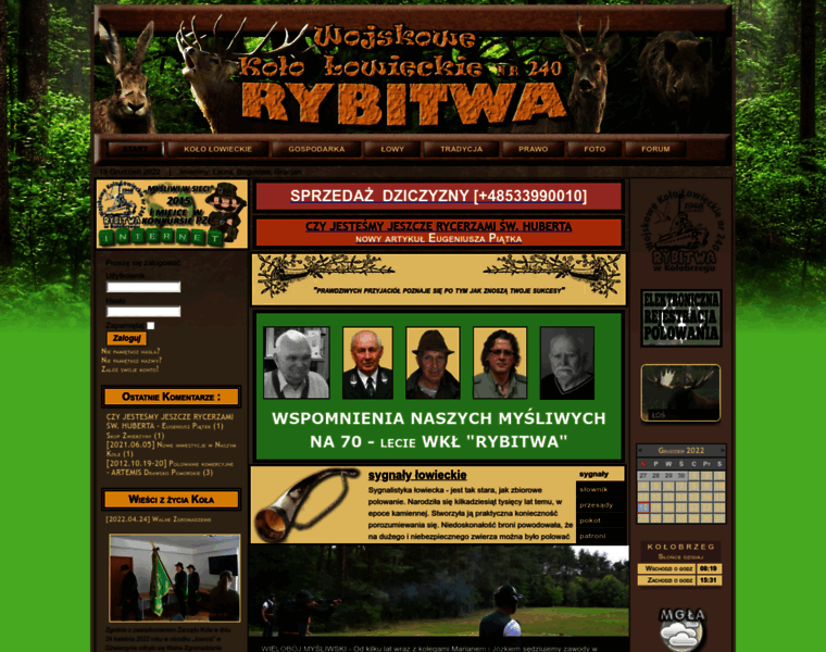 Wklrybitwa.pl thumbnail