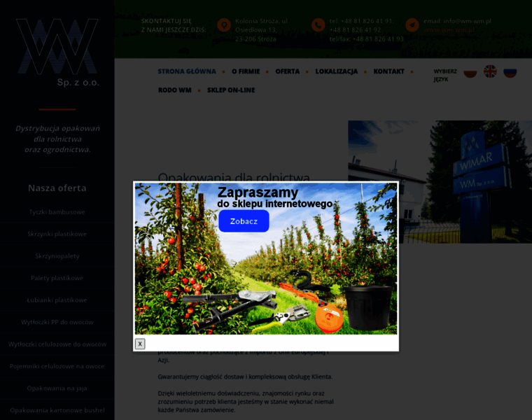 Wm-wm.pl thumbnail