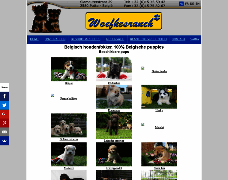 Woefkesranch.nl thumbnail